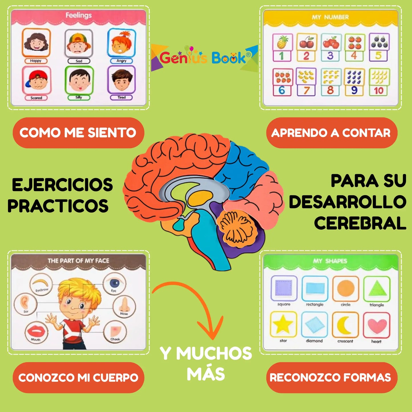 Entrena 7 Habilidades Claves en la Educación de tus Hijos con Genius Book®
